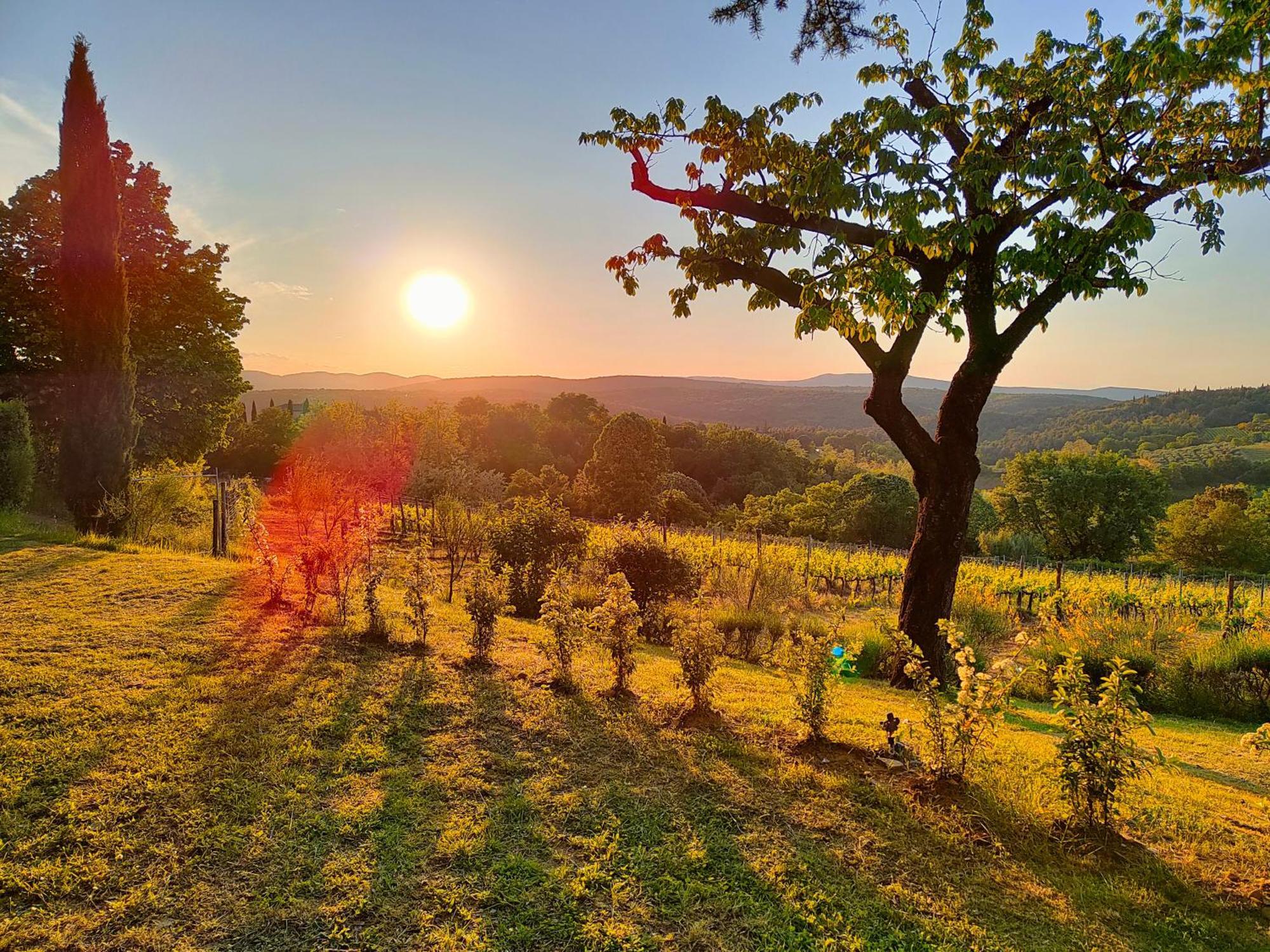 Borgo Villa Certano - Case Vacanza In Toscana Siena Exterior photo