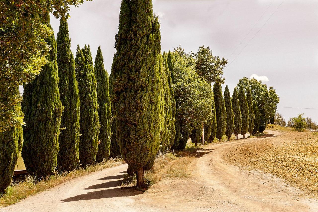Borgo Villa Certano - Case Vacanza In Toscana Siena Exterior photo